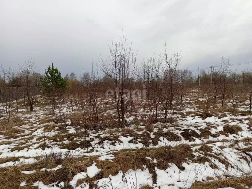 Участок в Свердловская область, Горноуральский городской округ, с. ... - Фото 1