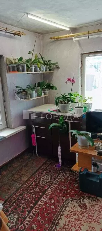 Дом в Кемеровская область, Новокузнецк Бочатский пер. (37 м) - Фото 1