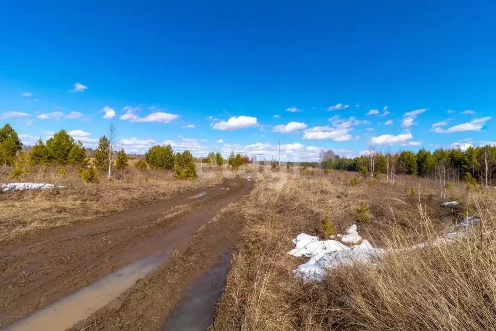 Участок в Тюменская область, Нижнетавдинский муниципальный округ, с. ... - Фото 2