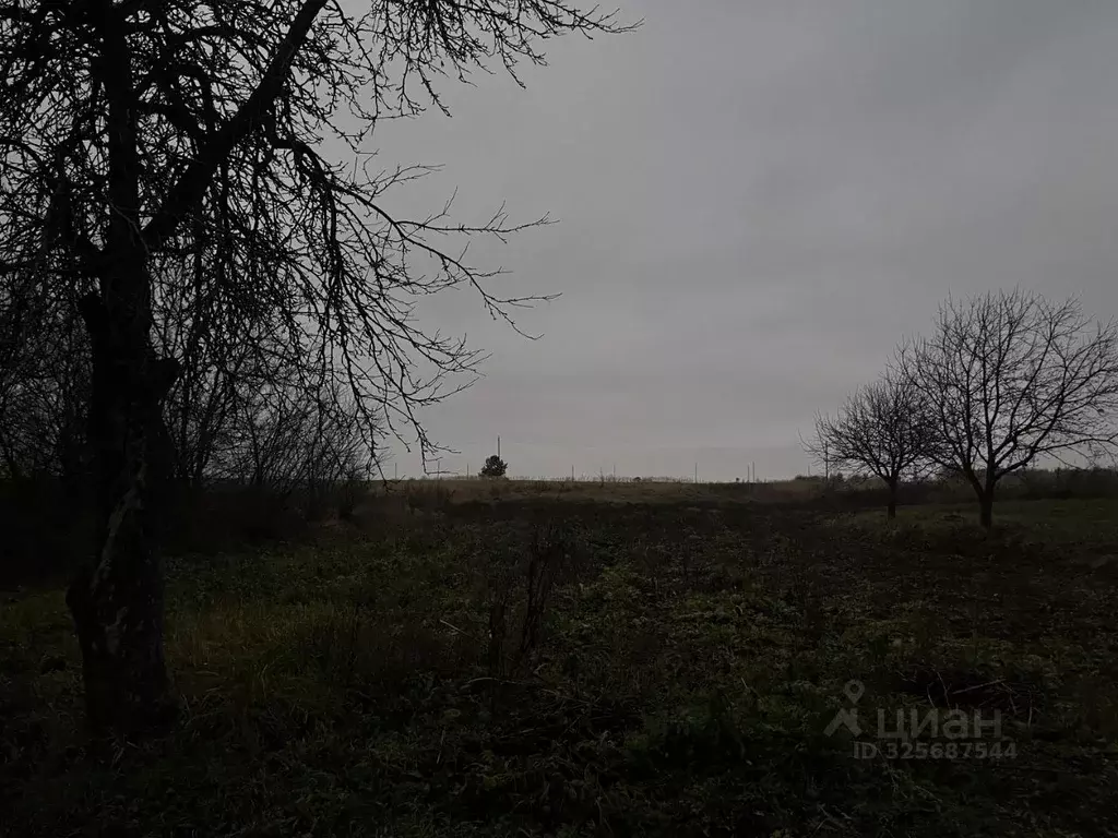 Участок в Брянская область, Почепский район, с. Первомайское ... - Фото 1