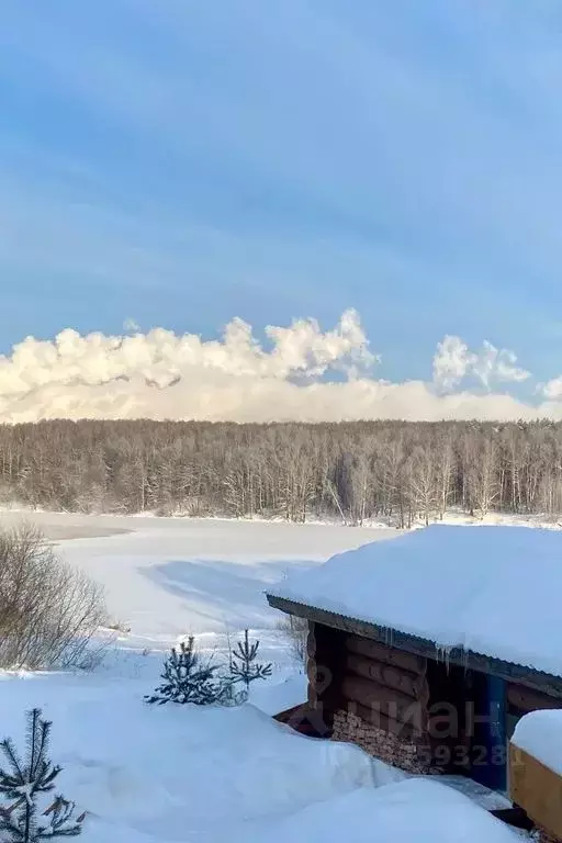 Дом в Московская область, Ленинский городской округ, д. Спасское 118 ... - Фото 1