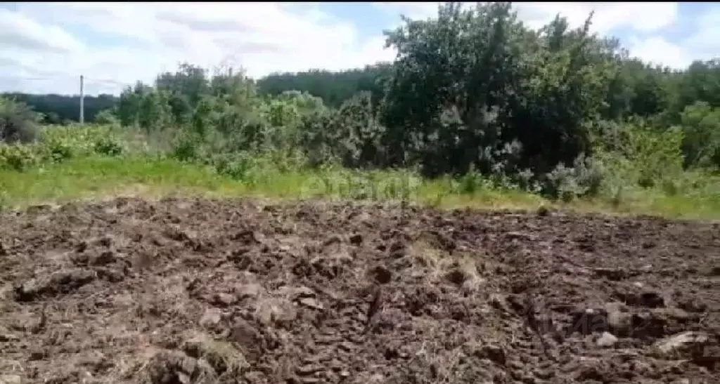 Участок в Хабаровский край, Хабаровск Урожай садовое товарищество, 205 ... - Фото 0