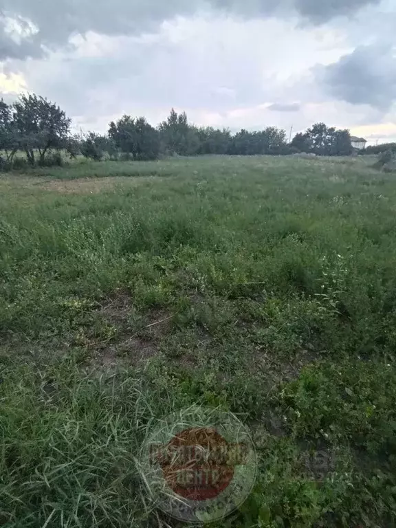 Участок в Белгородская область, Яковлевский муниципальный округ, с. ... - Фото 0