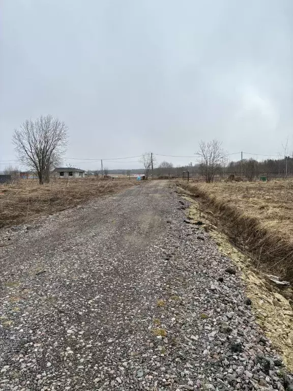 Участок в Ленинградская область, Ломоносовский район, Лопухинское ... - Фото 1
