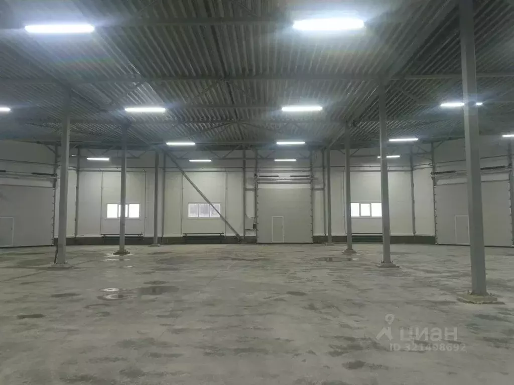 Склад в Ленинградская область, Гатчинский муниципальный округ, д. ... - Фото 1