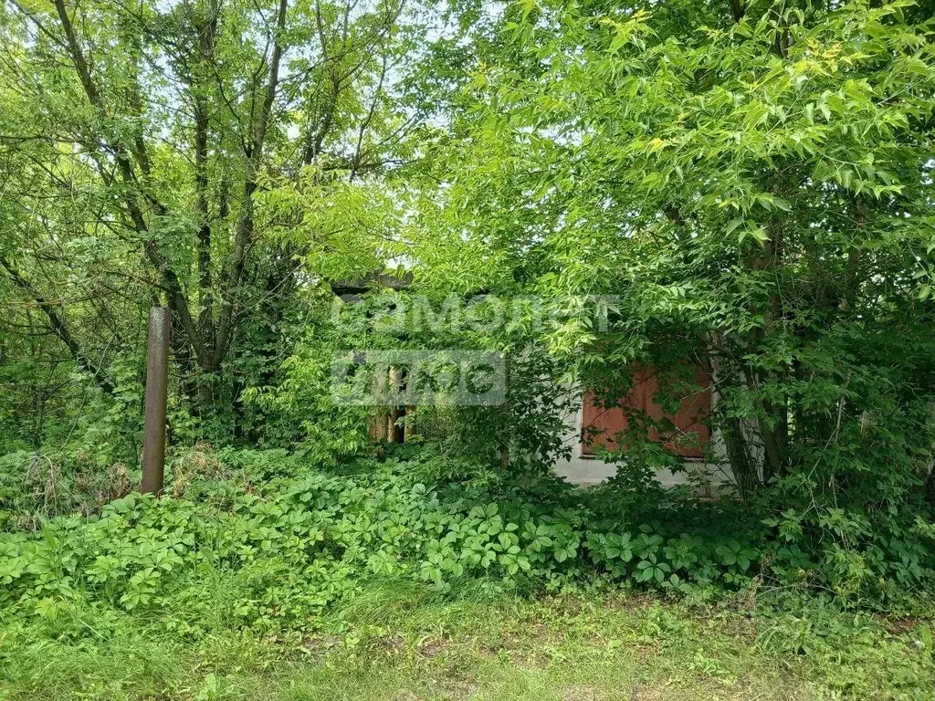 Участок в Самарская область, Сызранский район, Жемковка с/пос, с. ... - Фото 1