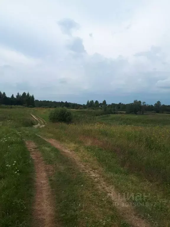 Участок в Ярославская область, Переславль-Залесский городской округ, ... - Фото 0