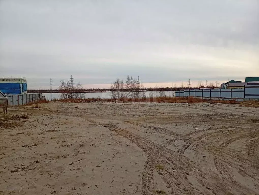 Участок в Ямало-Ненецкий АО, Новый Уренгой Дружба ТСН,  (8.29 сот.) - Фото 1