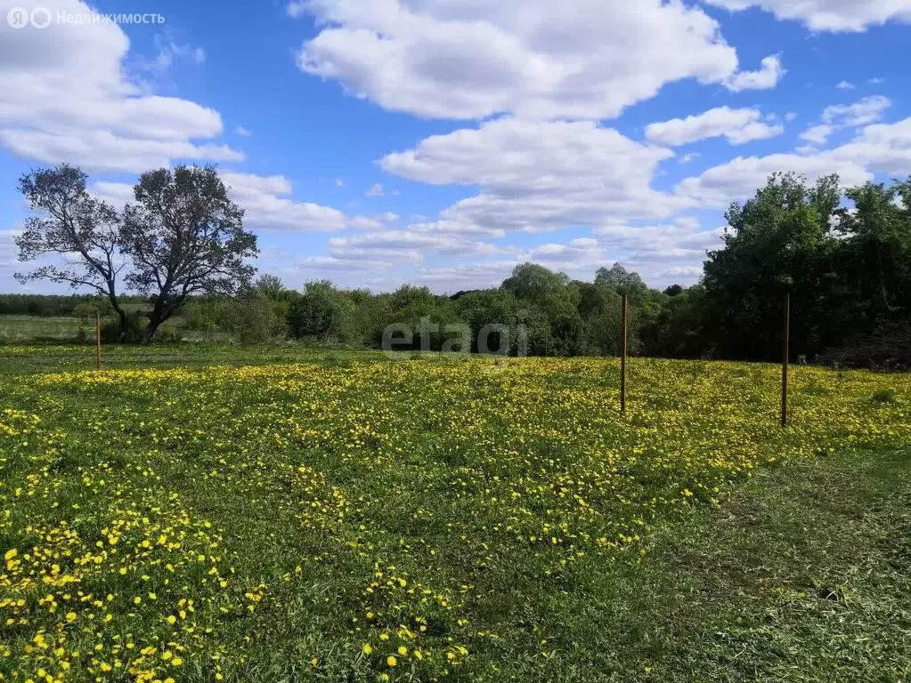 Участок в село Стрельцы, Южная улица (13 м) - Фото 1