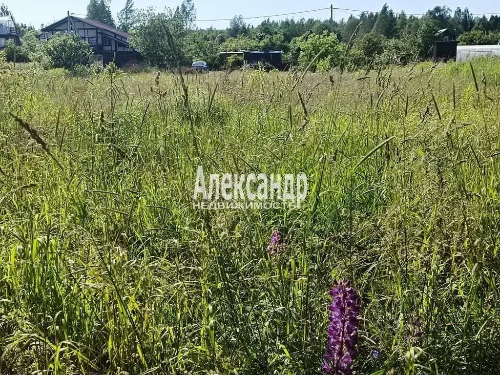 Участок, 7 сот., сельхоз (снт или днп) - Фото 0