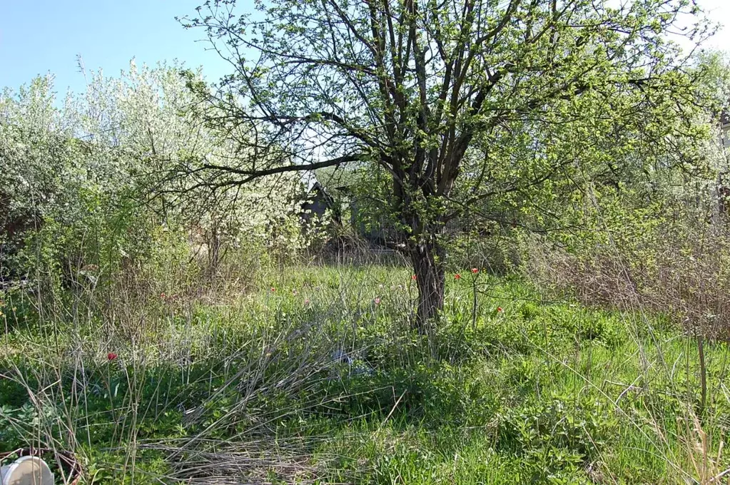 Дом в Московская область, Ступино городской округ, Михнево пгт ул. ... - Фото 2