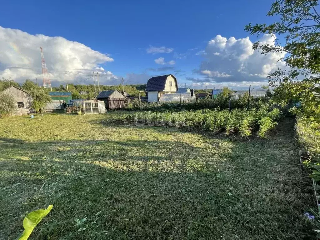 Участок в Кировская область, Киров Нива НВ СДТ,  (3.5 сот.) - Фото 2