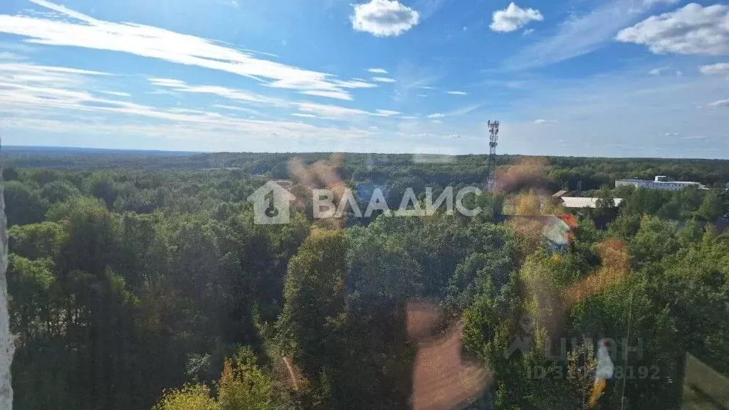 1-к кв. Владимирская область, Владимир ул. Благонравова, 9 (33.4 м) - Фото 0