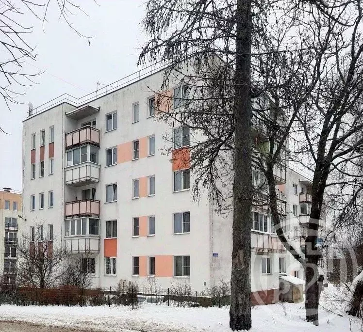 1-к кв. Ленинградская область, Выборгский район, Рощино пгт ул. ... - Фото 2