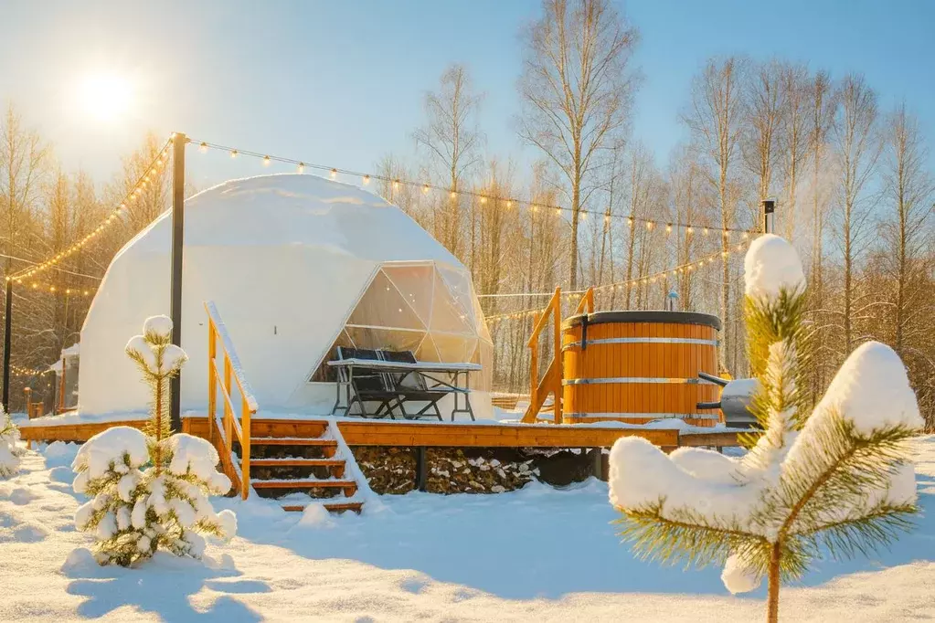 Дом в Ярославская область, Некрасовское с/пос, Малые Соли Парк кп  (28 ... - Фото 1