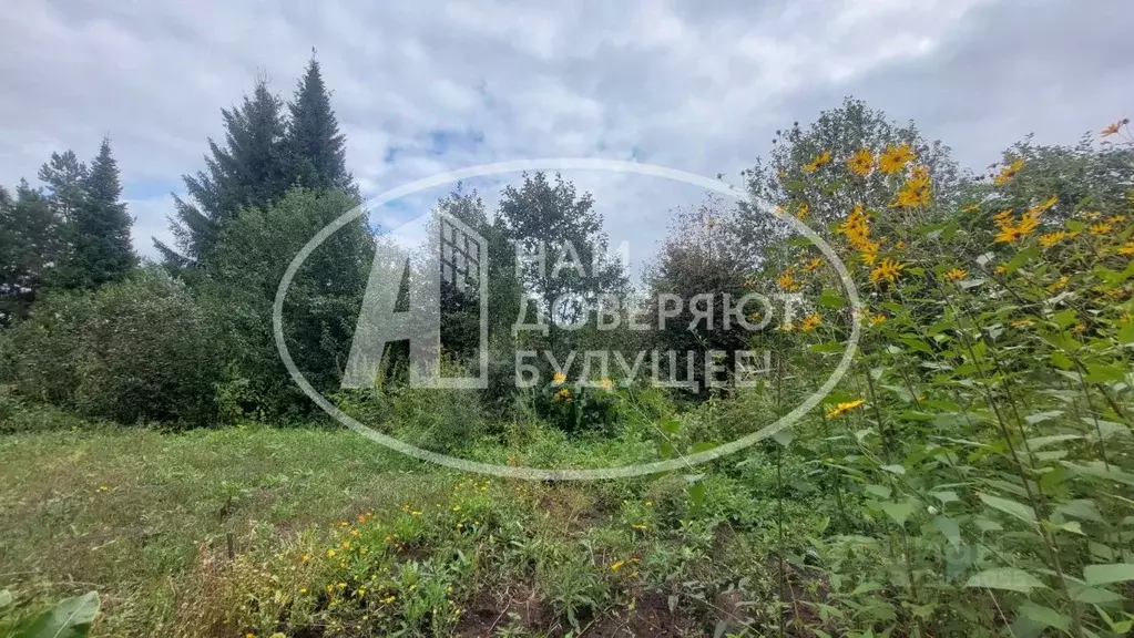 Дом в Пермский край, Чернушинский муниципальный округ, д. Ульяновка ... - Фото 2