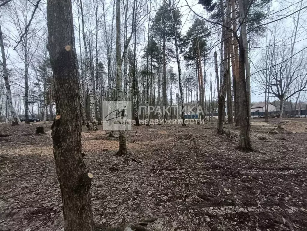 Продается участок в г. Ногинск - Фото 0