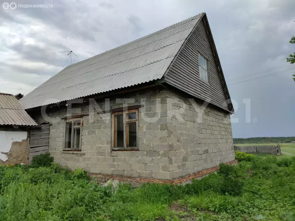 Дом в Павловский район, село Черёмное, улица Дружбы, 24 (88 м) - Фото 2