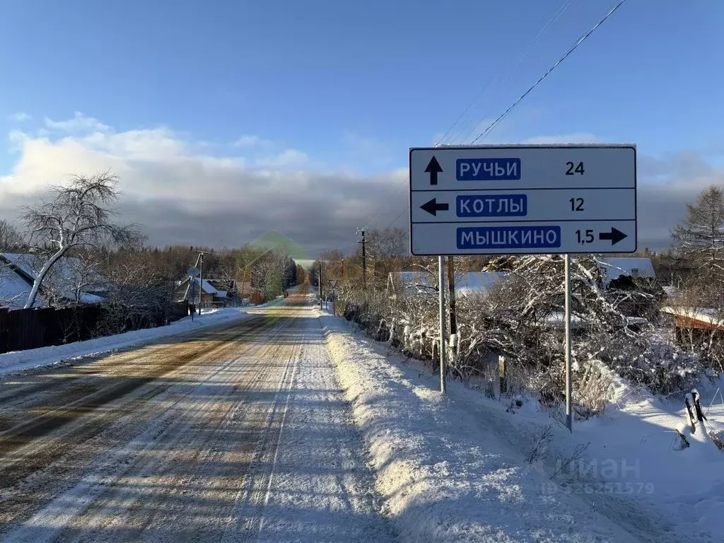 Участок в Ленинградская область, Кингисеппский район, Нежновское ... - Фото 1