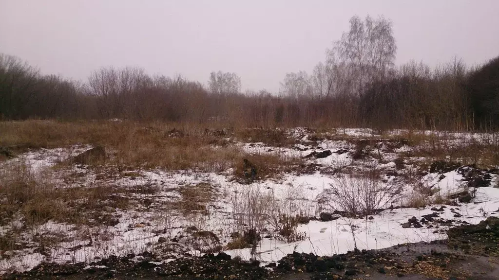 Участок в Тамбовская область, с. Староюрьево ул. Зеленая, 35 (16.13 ... - Фото 1