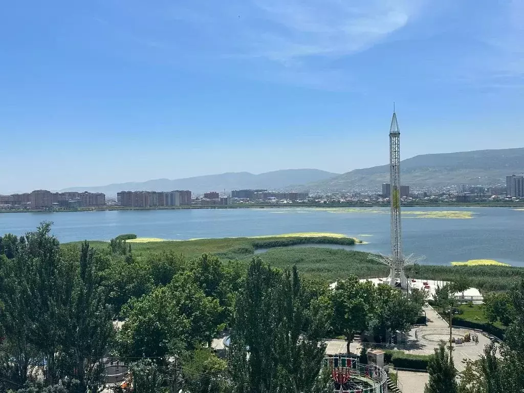 1-к кв. Дагестан, Махачкала просп. Петра 1, 83 (40.0 м) - Фото 1