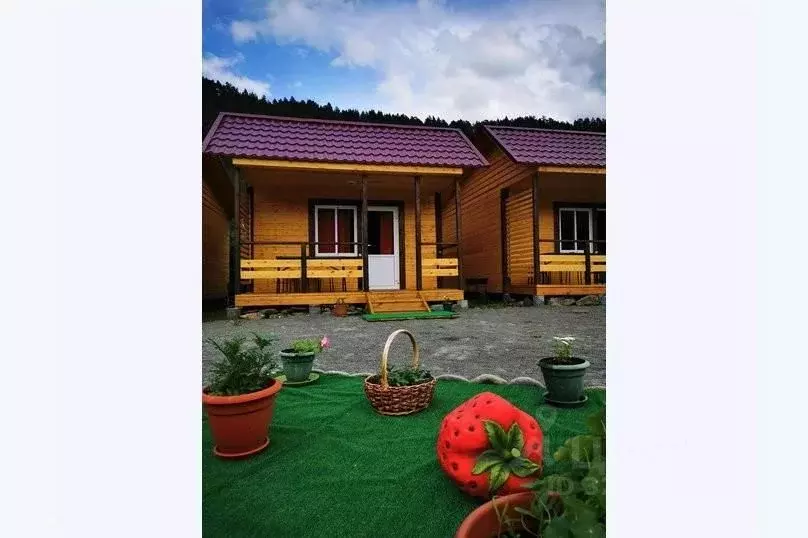 Дом в Алтай, Чемальский район, Элекмонарское с/пос, с. Элекмонар ул. ... - Фото 1