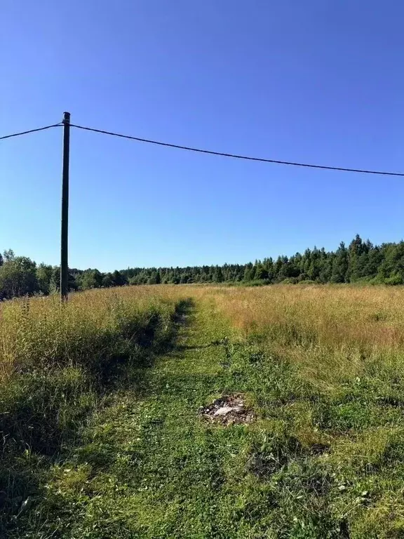 Участок в Ленинградская область, Гатчина  (15.0 сот.) - Фото 1