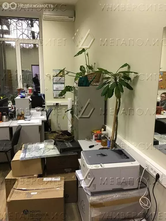 Помещение свободного назначения (277 м) - Фото 1