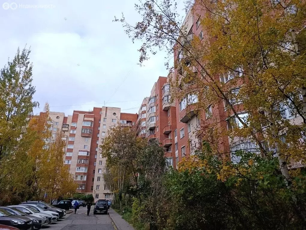 3-комнатная квартира: Кронштадт, Кронштадтское шоссе, 34 (62.5 м) - Фото 2