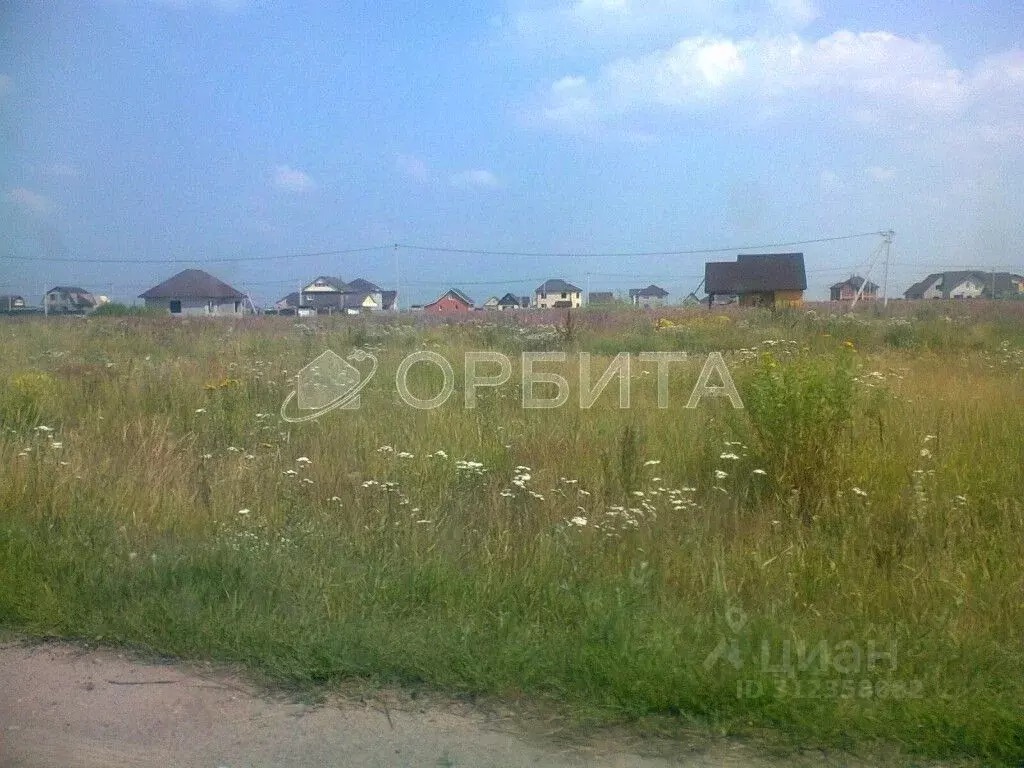 Участок в Тюменская область, Тюменский район, с. Мальково Новая ул., ... - Фото 1