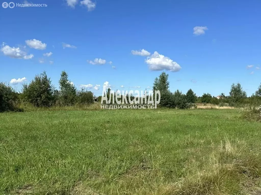 Участок в Отрадное, посёлок Петрушино (10 м) - Фото 1