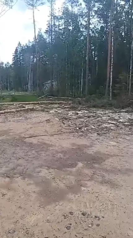 Участок в Ленинградская область, Всеволожский район, Токсовское ... - Фото 1