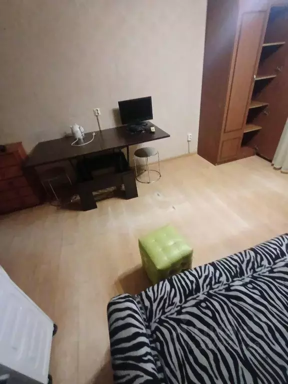 Студия Краснодарский край, Сочи Донская ул., 15 (18.0 м) - Фото 2