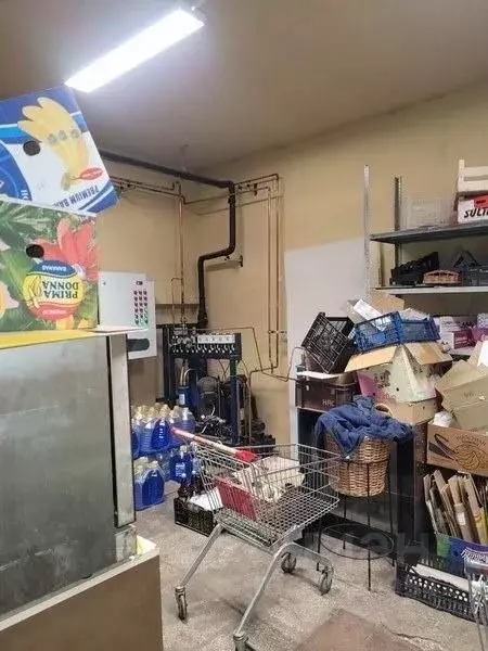 Склад в Нижегородская область, Нижний Новгород ул. Надежды Сусловой, ... - Фото 1