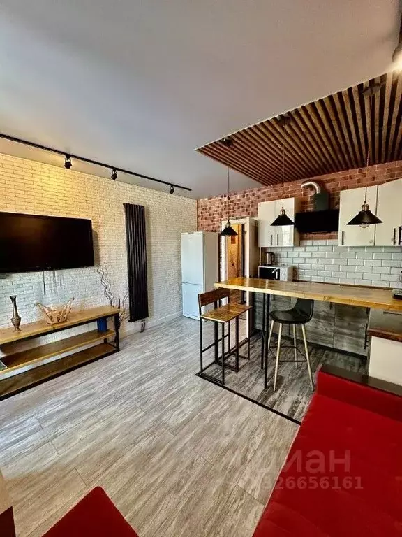 Студия Московская область, Мытищи городской округ, д. Пирогово ул. ... - Фото 1