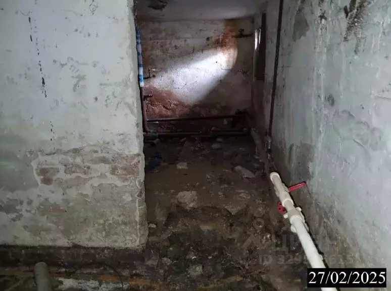 Помещение свободного назначения в Нижегородская область, Нижний ... - Фото 1