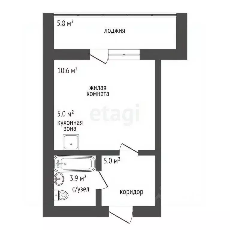 Студия Амурская область, Благовещенский район, с. Чигири ул. ... - Фото 2