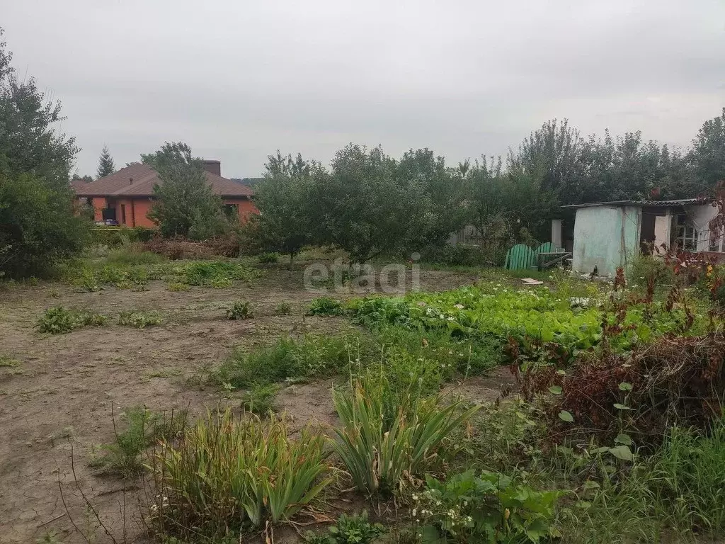 Участок в Белгородская область, Белгородский район, Головинское с/пос, ... - Фото 0