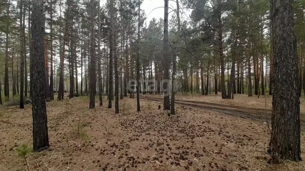 Участок в Забайкальский край, Читинский район, с. Смоленка  (9.1 сот.) - Фото 1
