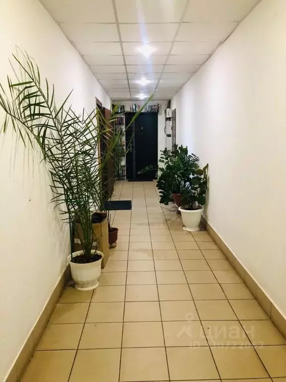 Офис в Костромская область, Кострома ул. Петра Щербины, 8/4 (25 м) - Фото 2