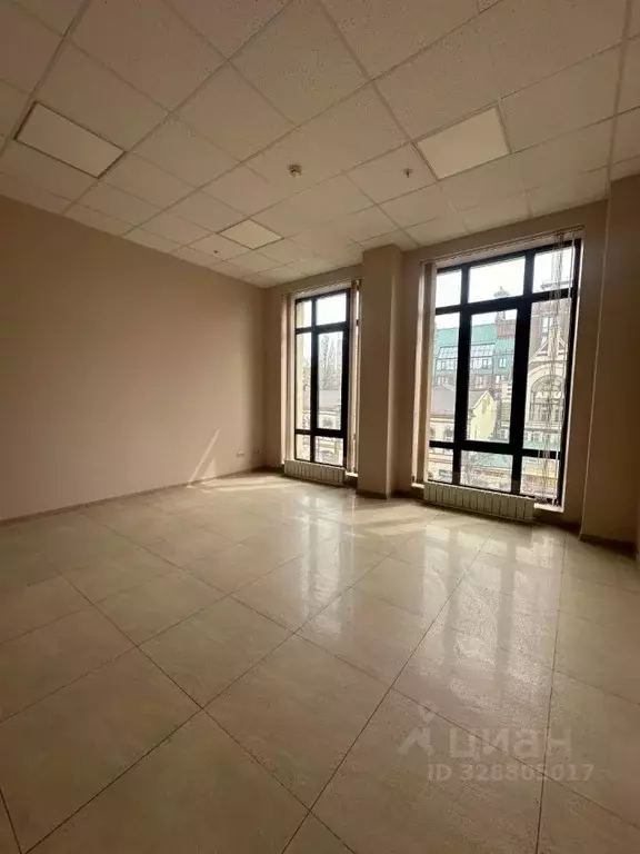 Офис в Ростовская область, Ростов-на-Дону Большая Садовая ул., 93 (389 ... - Фото 1