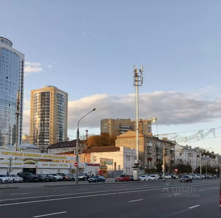 Торговая площадь в Воронежская область, Воронеж Кольцовская ул., 60/1 ... - Фото 1