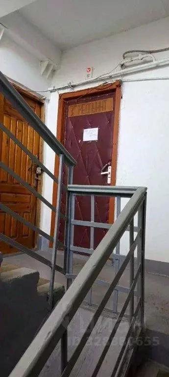 Помещение свободного назначения в Курганская область, Шумихинский ... - Фото 1