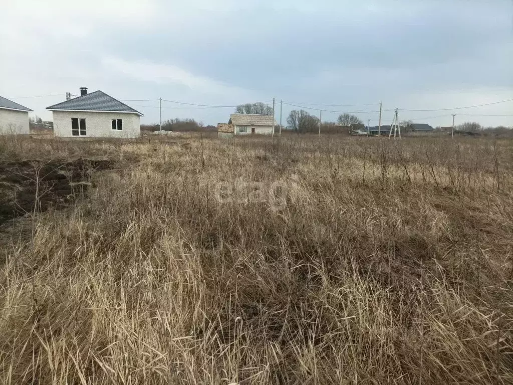 Участок в Воронежская область, с. Новая Усмань ул. Коммунарская, 400А ... - Фото 0