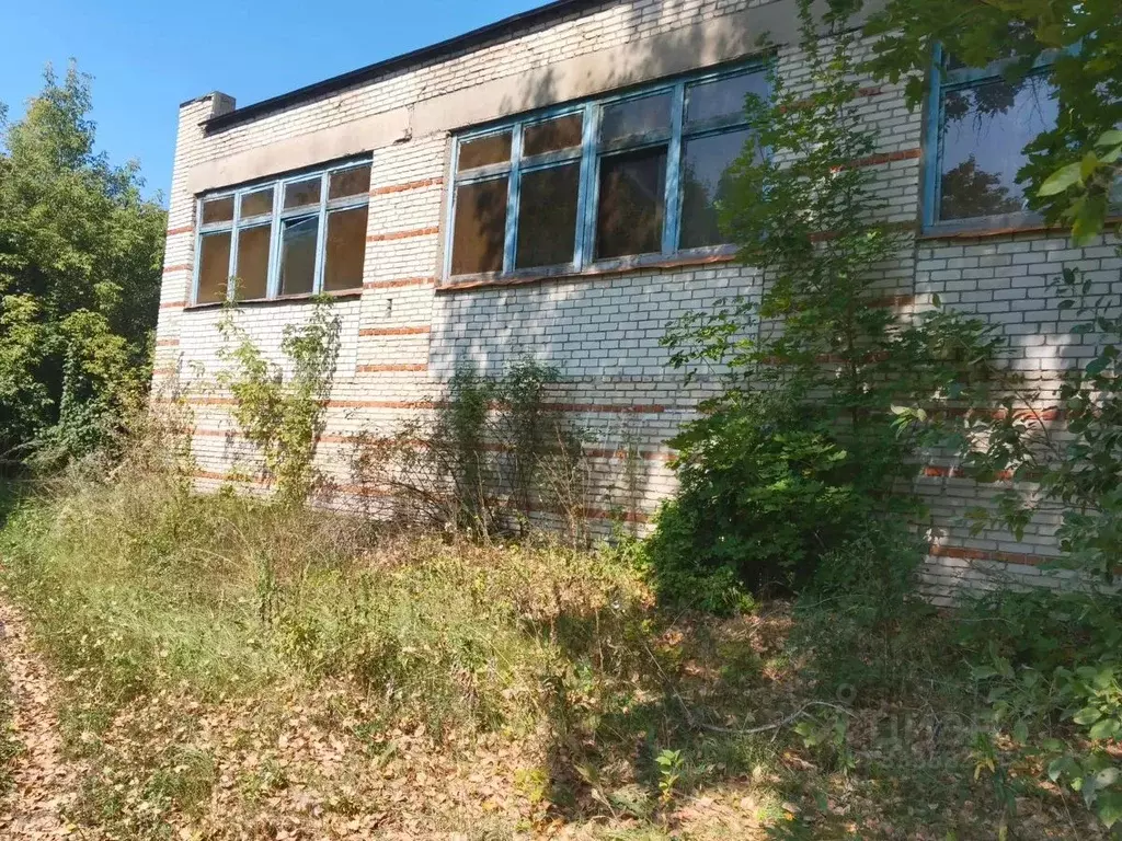 Помещение свободного назначения в Тамбовская область, Инжавинский ... - Фото 1