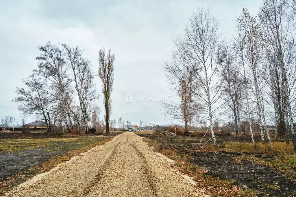 Участок в Воронежская область, Воронеж ул. Славянова (5.1 сот.) - Фото 1