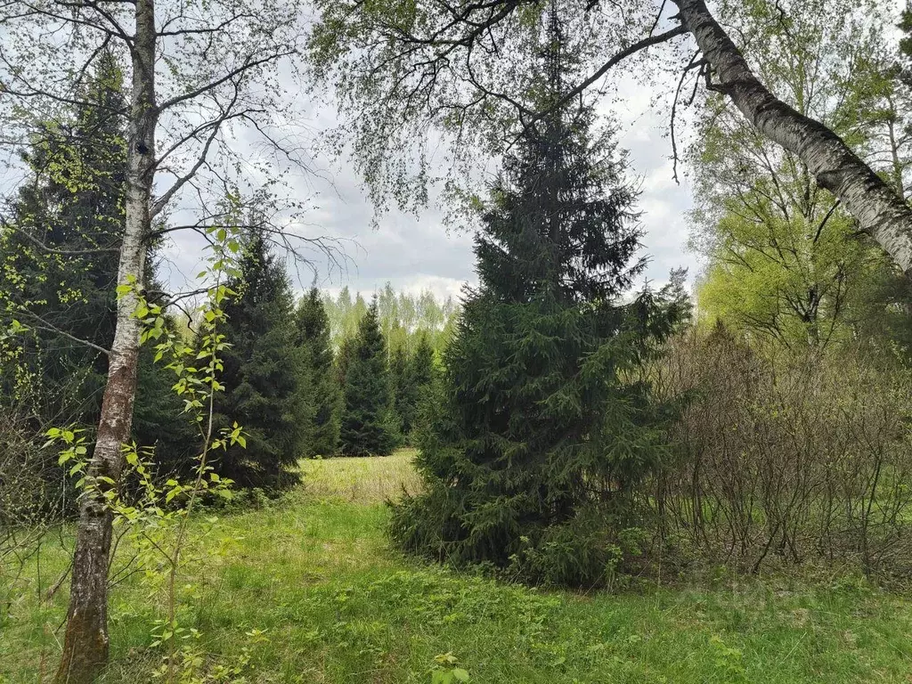 Участок, 2500 сот., сельхоз (снт или днп) - Фото 1