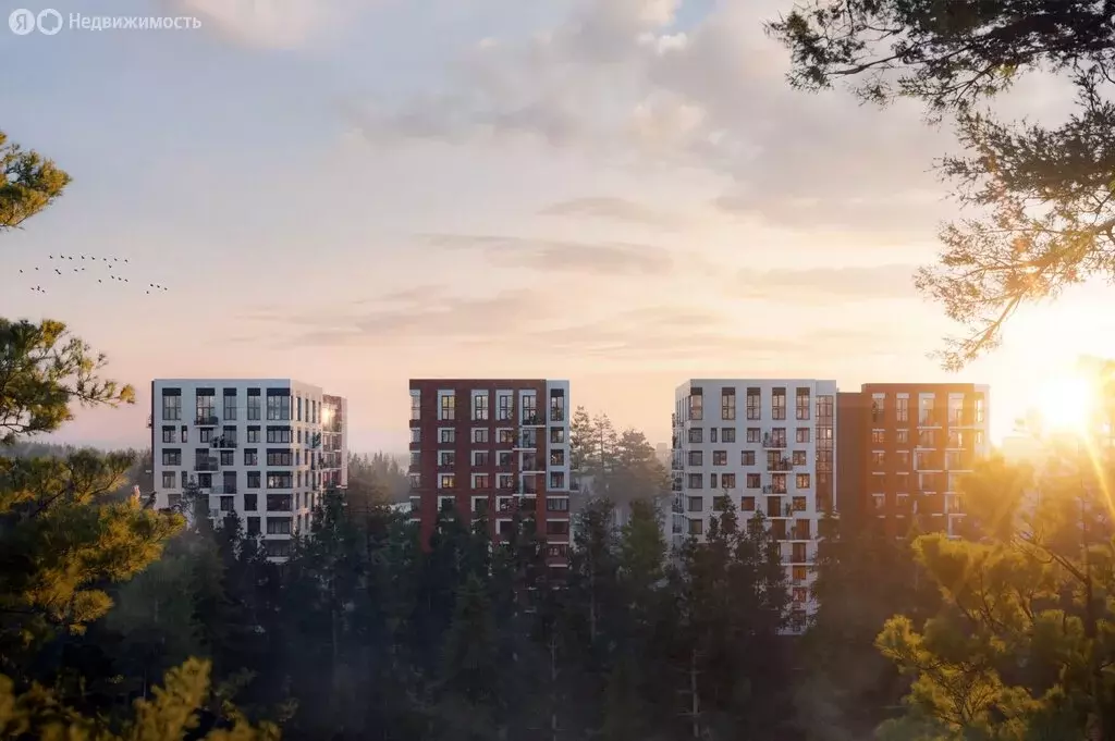 1-комнатная квартира: Сертолово, ЖК Верен Норт Сертолово (32.67 м) - Фото 1