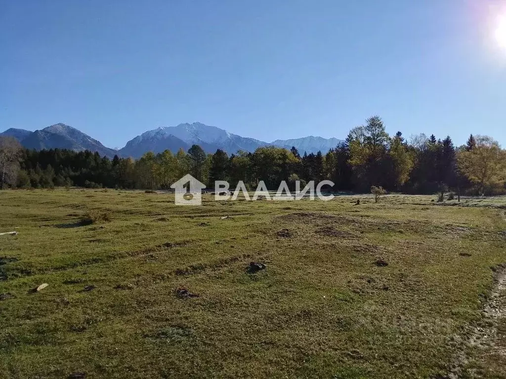 Участок в Бурятия, Тункинский район, с. Тагархай ул. Тулаева (25.0 ... - Фото 2