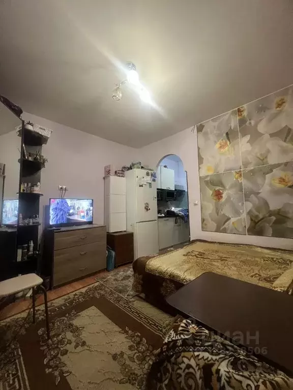 Студия Московская область, Щелково городской округ, пос. ... - Фото 2